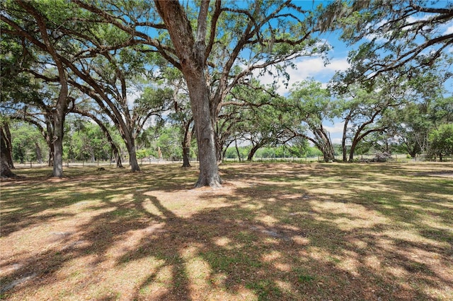 2679 SE 35th St, Sumterville, FL 33585 - photo 48