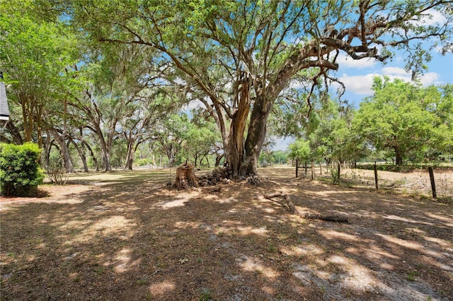 2679 SE 35th St, Sumterville, FL 33585 - photo 49