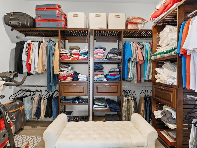 spacious closet featuring wood finished floors