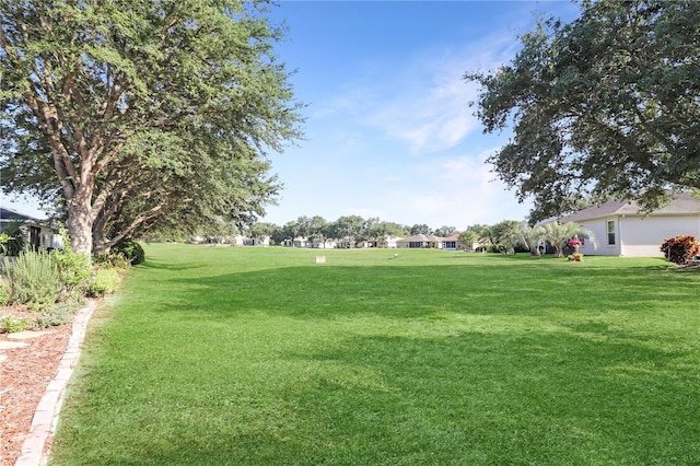 4848 Saint Andrews Arc, Leesburg, FL 34748 - view of yard