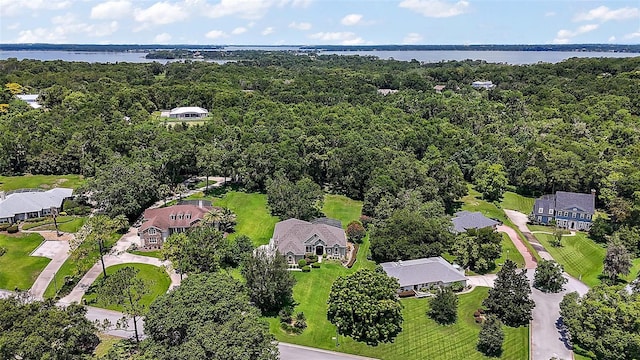 7249 Chesterhill Cir, Mount Dora, FL 32757 - photo 41