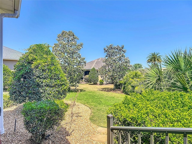 1842 Lake Ridge Dr, The Villages, FL 32162 - view of yard