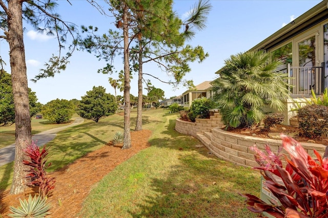 view of yard