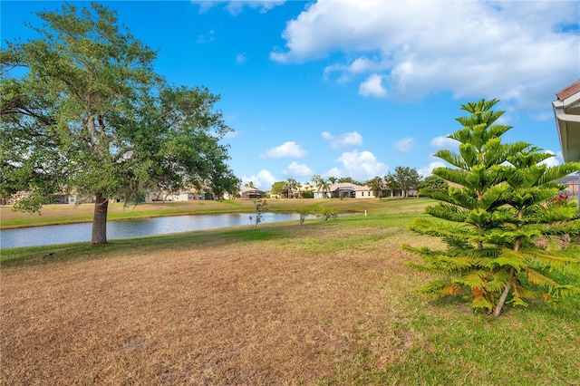 2641 Meadow View Ct, Kissimmee, FL 34746 - view of green lawn featuring a water view