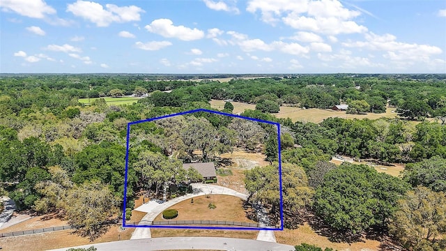 32132 Hickory Ln, Sorrento, FL 32776 - photo 68