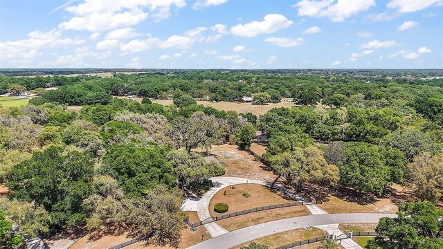 32132 Hickory Ln, Sorrento, FL 32776 - photo 60