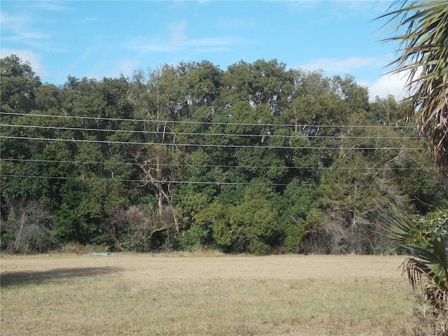 Turnberry Ave, Sorrento, FL 32776