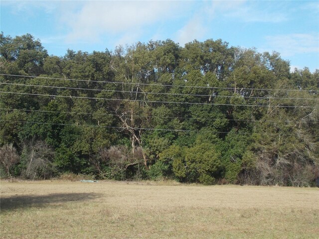 Turnberry Ave, Sorrento, FL 32776