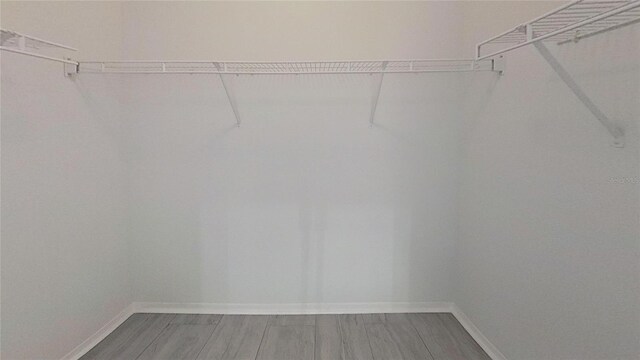 spacious closet with wood finished floors