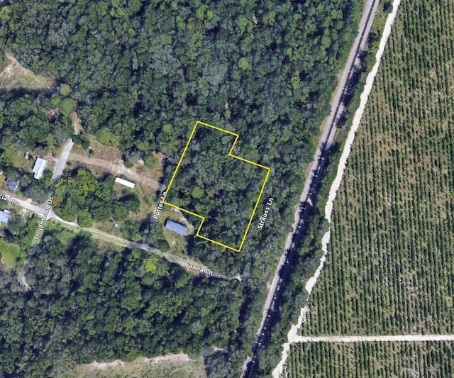 17326 Putter Ln, Spring Hill, FL 34610