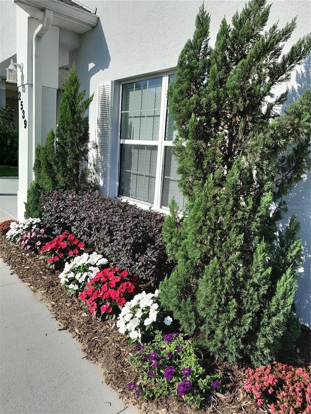 2539 Caithness Way, Clermont, FL 34714 - exterior view of stucco siding