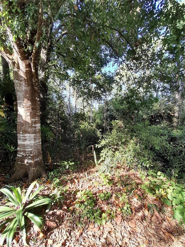 2539 Caithness Way, Clermont, FL 34714 - view of undeveloped land