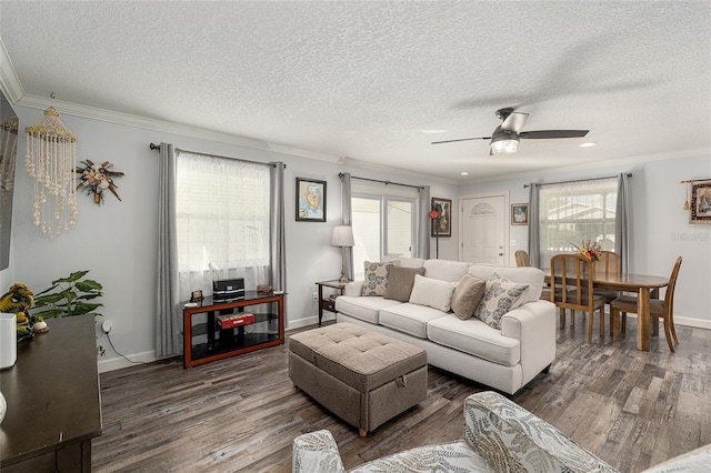 living room with ornamental molding, a wealth of natural light, a ceiling fan, and wood finished floors