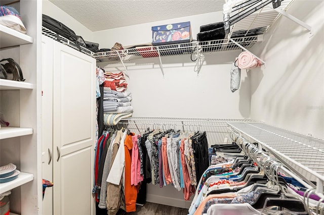spacious closet featuring wood finished floors