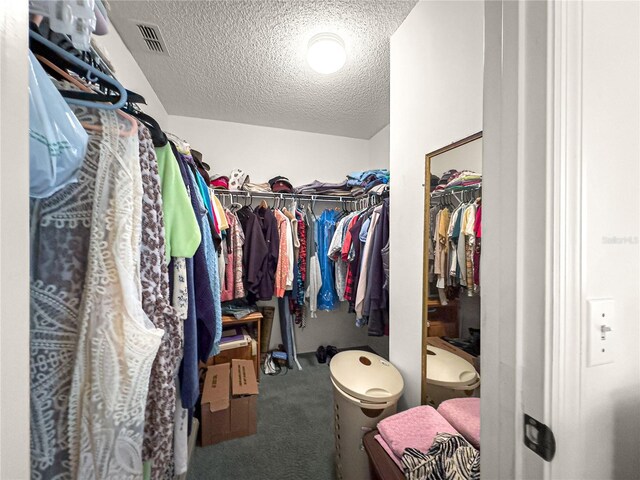 2102 Estevez Dr, Lady Lake, FL 32159 - spacious closet with carpet flooring