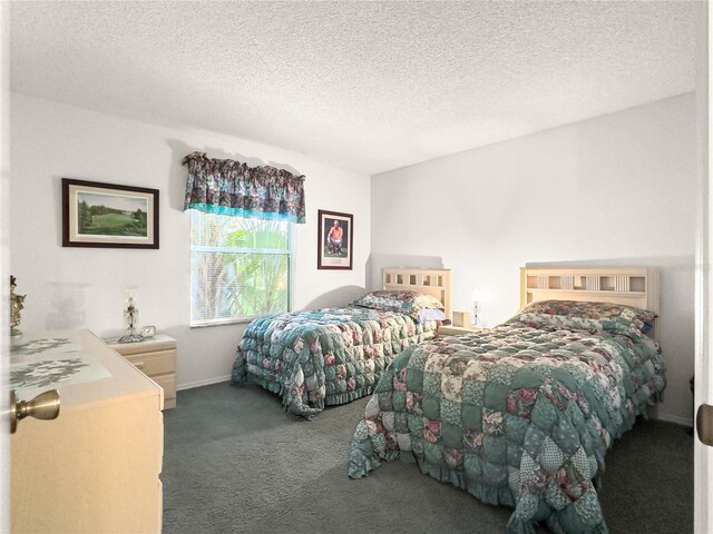 2102 Estevez Dr, Lady Lake, FL 32159 - carpeted bedroom with a textured ceiling