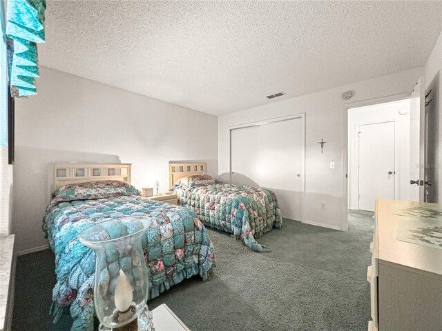 2102 Estevez Dr, Lady Lake, FL 32159 - bedroom with carpet, a textured ceiling, and a closet