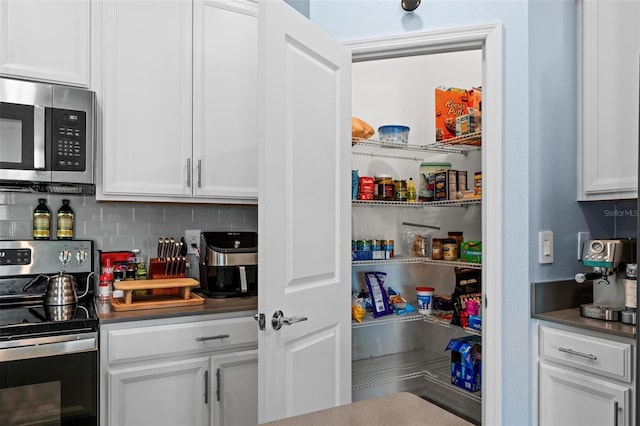 5354 Travertine St, Mount Dora, FL 32757 - view of storage area