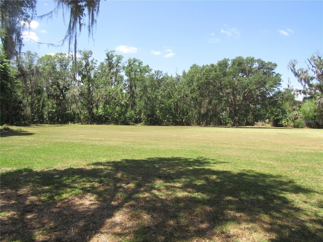 9603 Wright On Dr, Leesburg, FL 34788