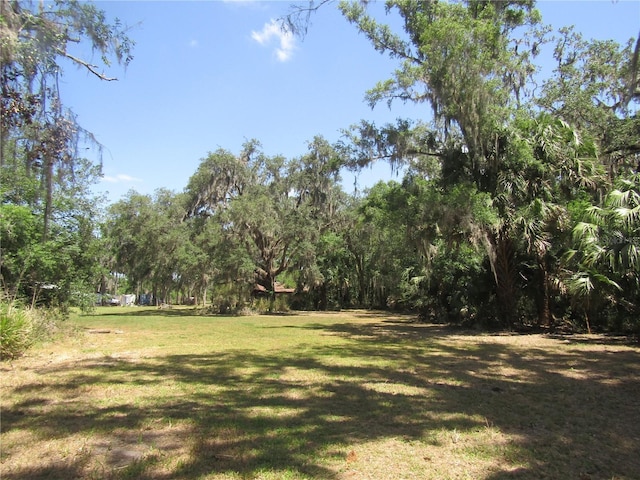9603 Wright On Dr, Leesburg, FL 34788