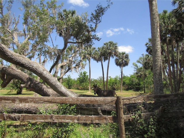 9603 Wright On Dr, Leesburg, FL 34788