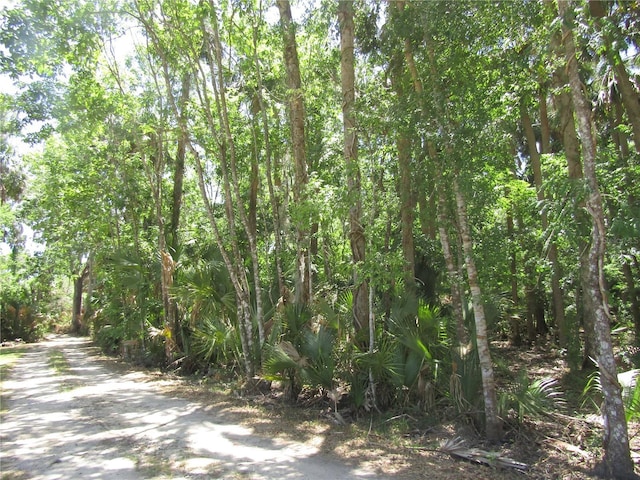 9603 Wright On Dr, Leesburg, FL 34788