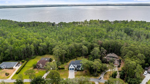 drone / aerial view with a view of trees and a water view