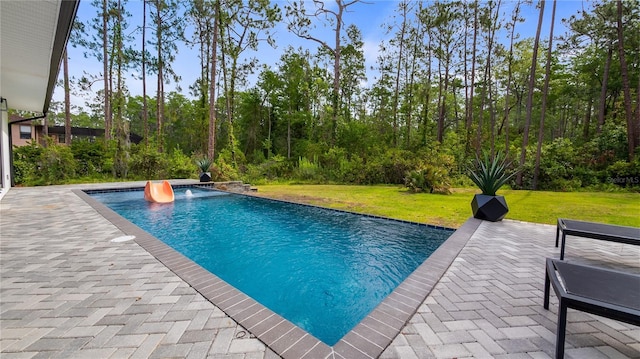 pool with a patio and a yard