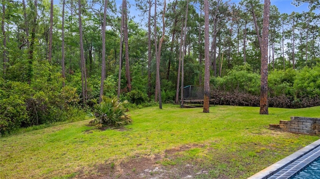 view of yard featuring a trampoline