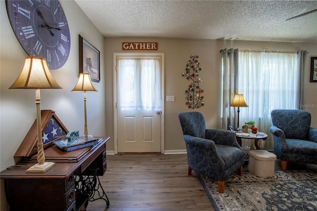616 Third Ave, Lady Lake, FL 32159 - sitting room with baseboards, a textured ceiling, wood finished floors, and a healthy amount of sunlight