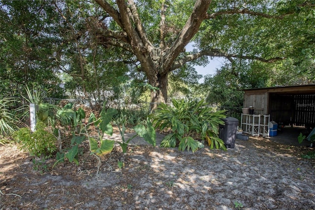616 Third Ave, Lady Lake, FL 32159 - view of yard featuring a pole building and an outdoor structure