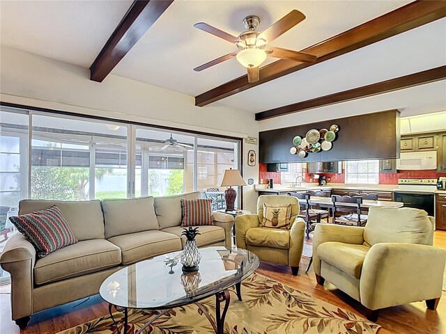 33620 Picciola Dr, Fruitland Park, FL 34731 - photo 21