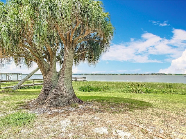 33620 Picciola Dr, Fruitland Park, FL 34731 - photo 41