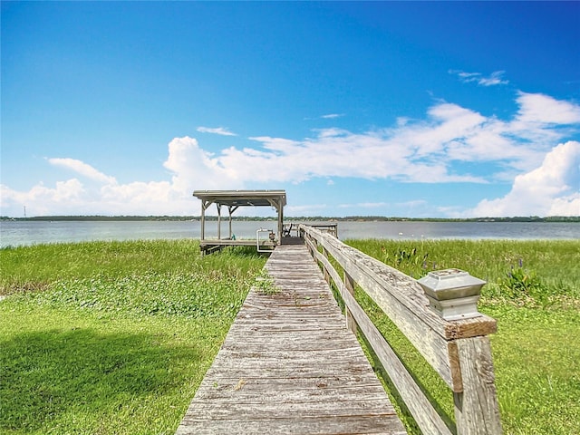 33620 Picciola Dr, Fruitland Park, FL 34731 - photo 42