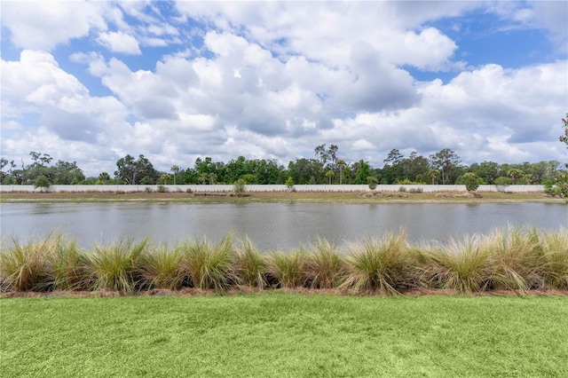 2129 Landrea Loop, The Villages, FL 32163 - water view