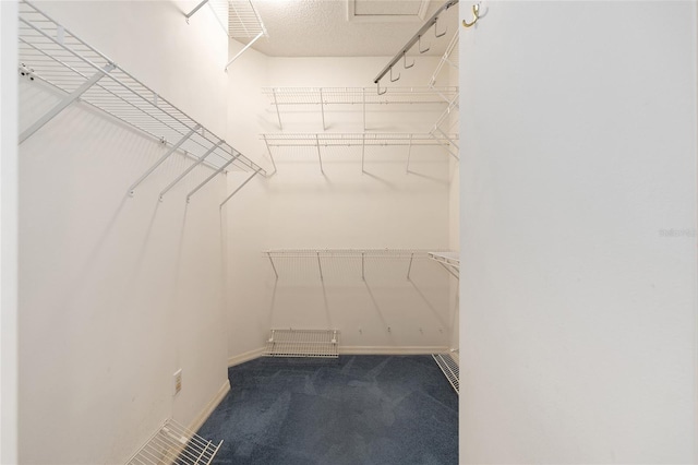 spacious closet featuring dark carpet