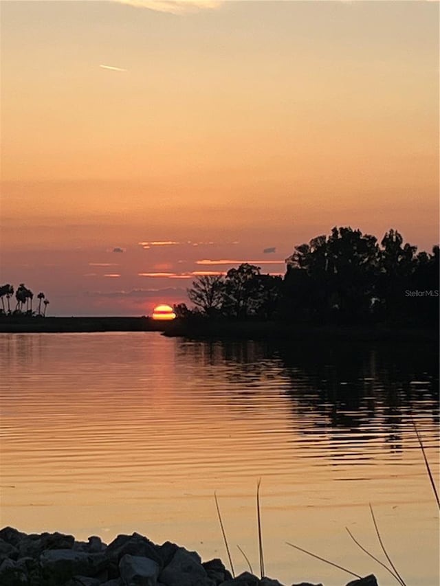 54 SE 910th Ave Unit 210/3, Suwannee, FL 32692 - water view