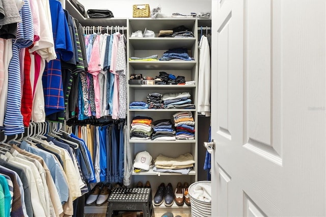 view of spacious closet