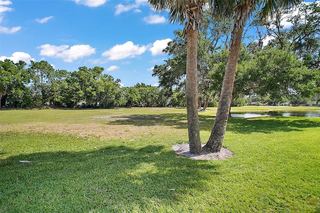 view of yard featuring a water view