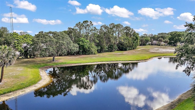 579 Juniper Way, Tavares, FL 32778 - photo 1