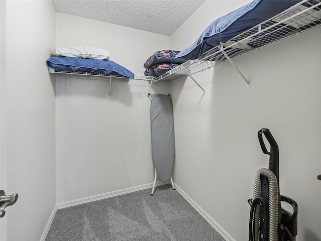walk in closet with carpet flooring