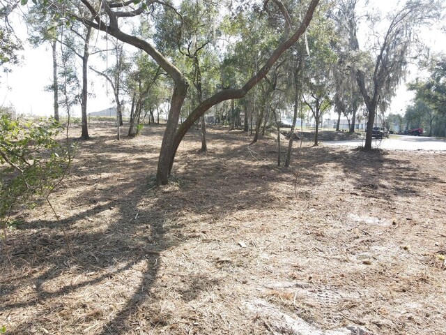 Spruce Terrace Way, Ocala, FL 34472