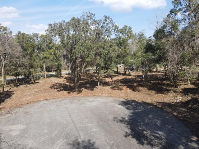 Spruce Terrace Way, Ocala, FL 34472