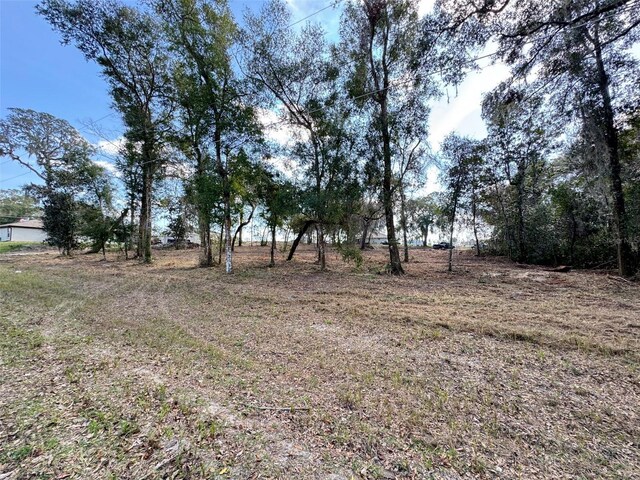 Spruce Terrace Way, Ocala, FL 34472
