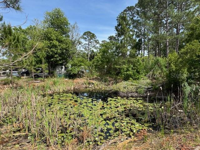 21240 SE 142nd St, Umatilla, FL 32784 - photo 13