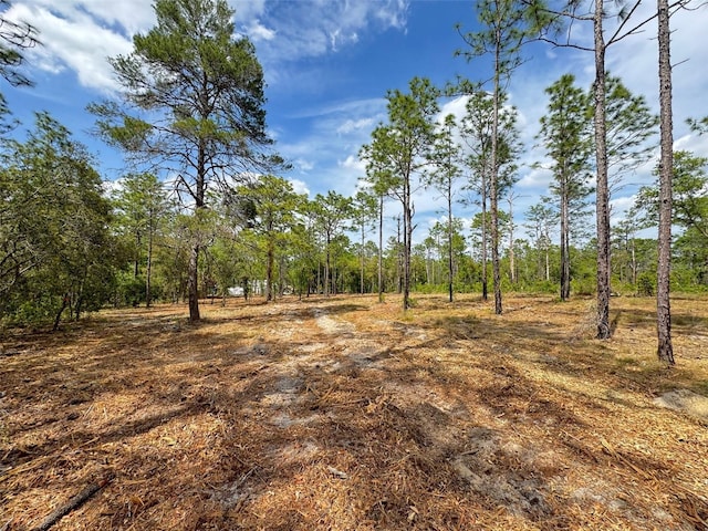 SW Edgewater Blvd, Dunnellon, FL 34431