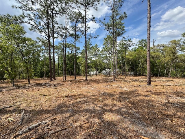 SW Edgewater Blvd, Dunnellon, FL 34431