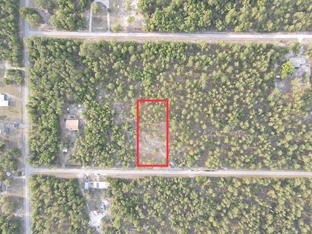 SW Anchor Blvd, Dunnellon, FL 34431 - photo 2
