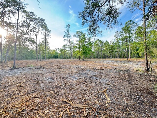 SW Anchor Blvd, Dunnellon, FL 34431 - photo 4
