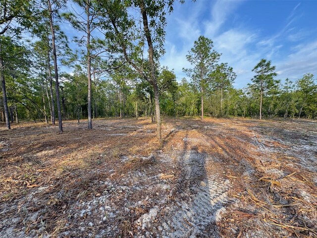 SW Anchor Blvd, Dunnellon, FL 34431 - photo 6